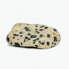 Pedra Jaspe Dálmata Rolada 3×3,5cm - Helena Cristais  